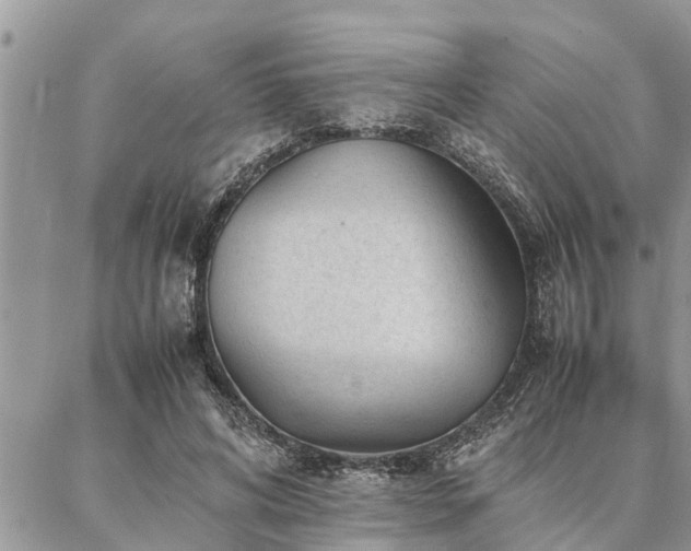 X0000087390592200704201244