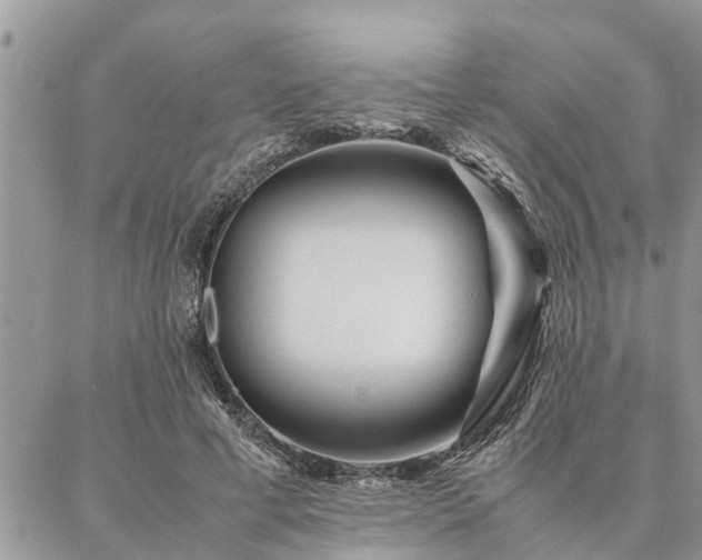 X0000087390593200704201244