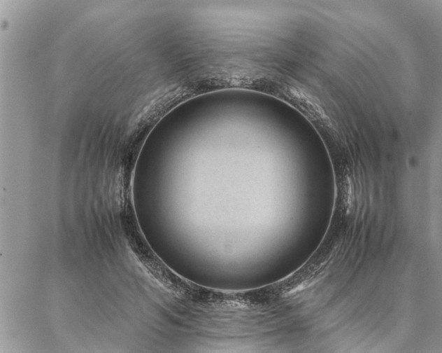 X0000087390594200704201244