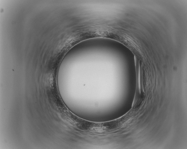 X0000087390595200704201244