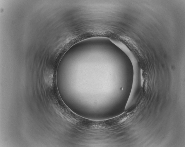 X0000087390596200704201244