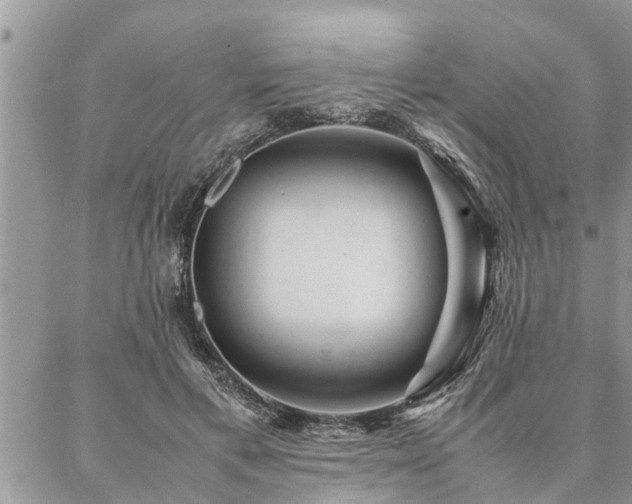 X0000087390597200704201244