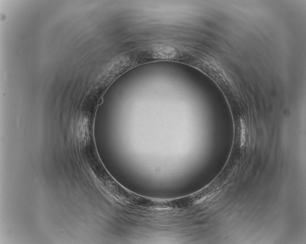 X0000087390598200704201244