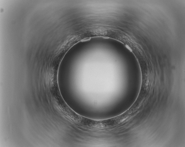 X0000087390600200704201244