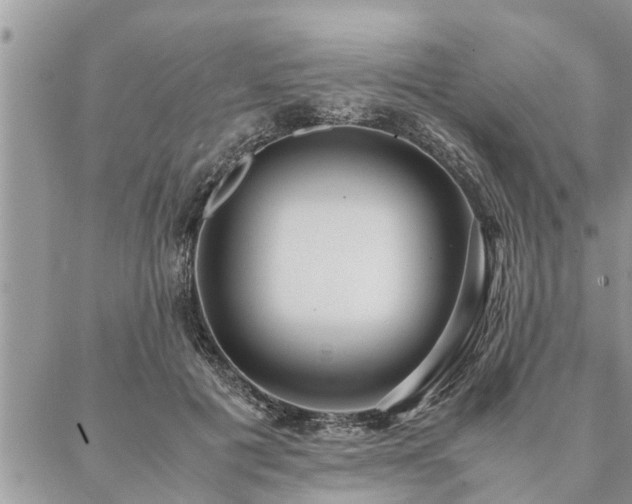 X0000087390601200704201244