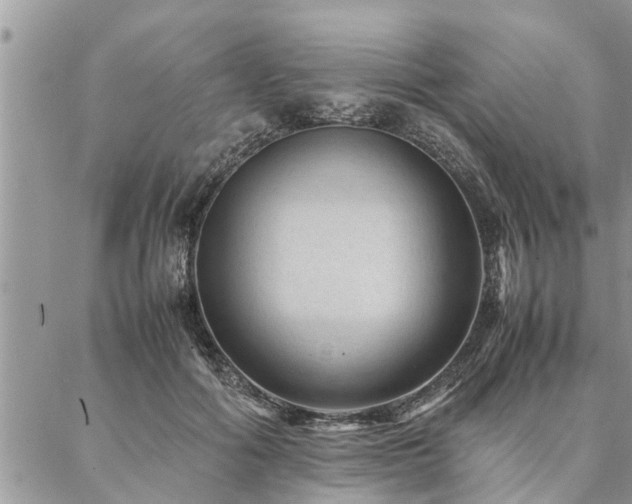 X0000087390602200704201244