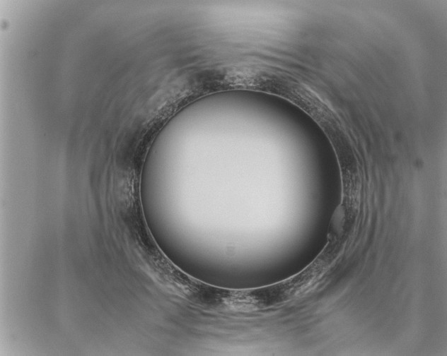 X0000087390603200704201244