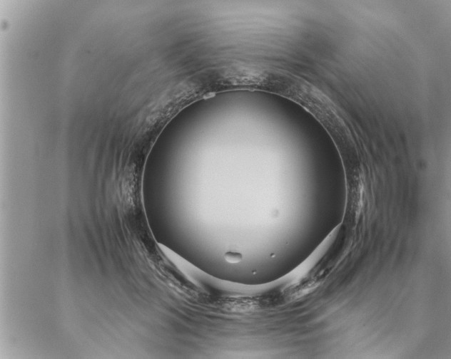 X0000087390604200704201244