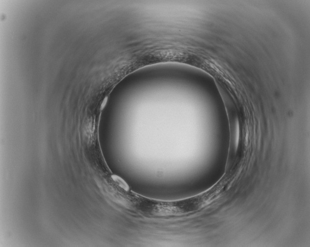 X0000087390605200704201244