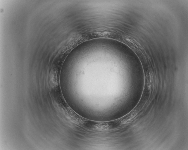 X0000087390606200704201244