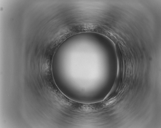 X0000087390608200704201244