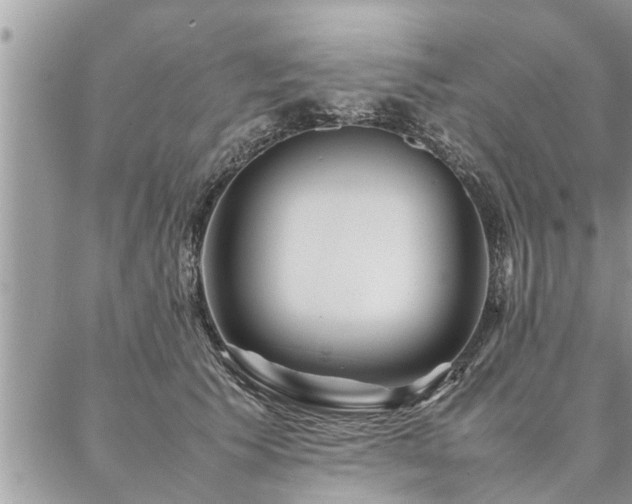 X0000087390609200704201244