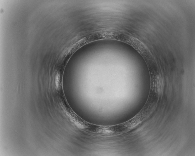 X0000087390610200704201244