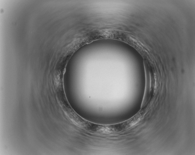 X0000087390611200704201244