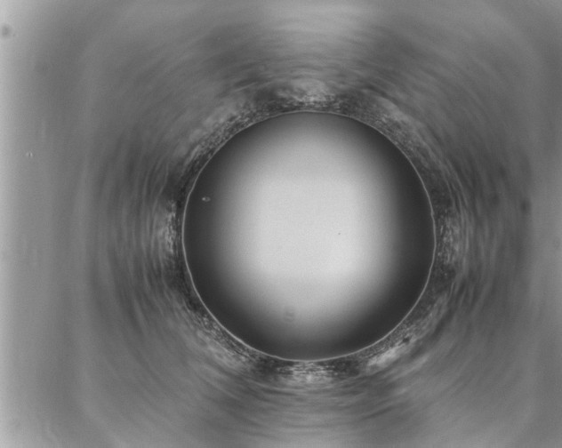 X0000087390612200704201244