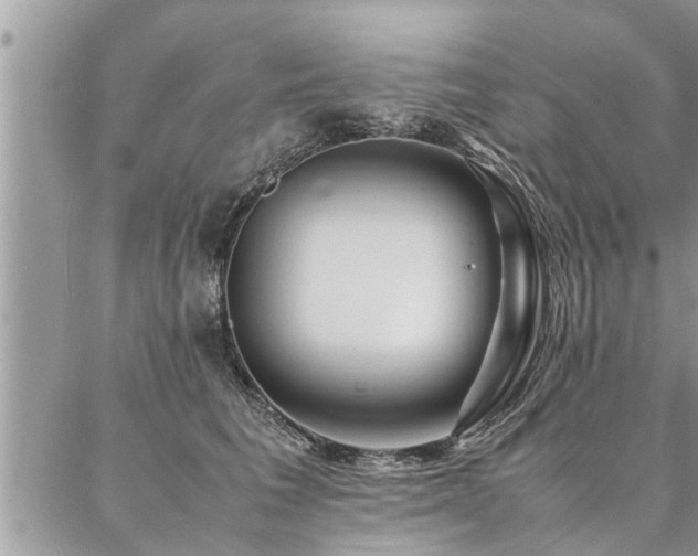 X0000087390613200704201244