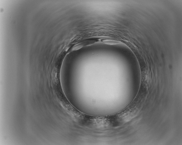 X0000087390615200704201244