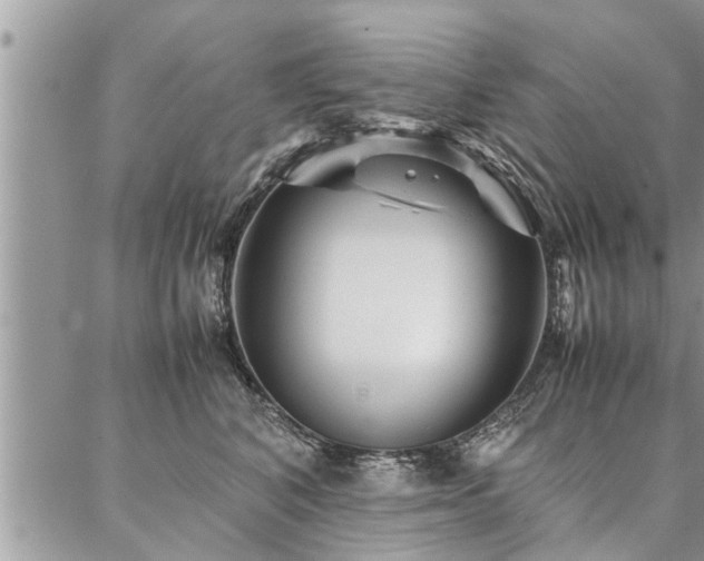 X0000087390616200704201244