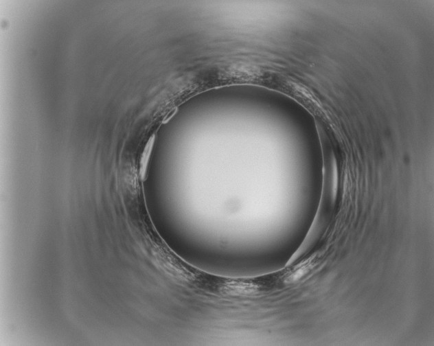 X0000087390617200704201244