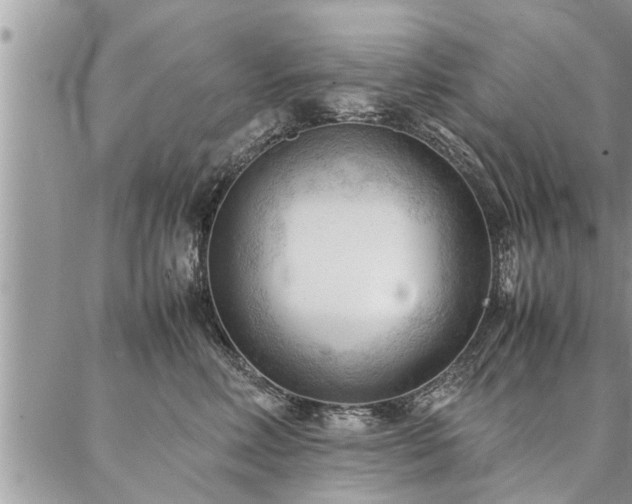 X0000087390618200704201244