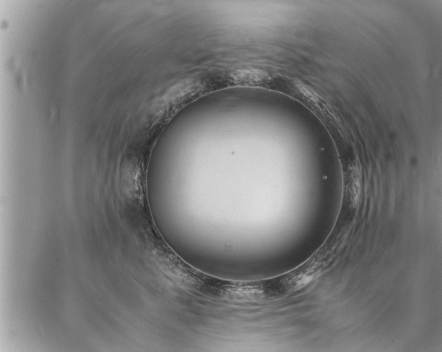 X0000087390619200704201244