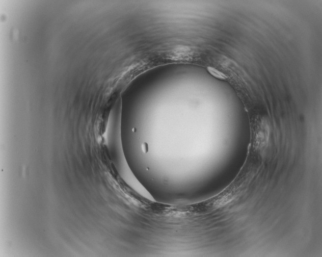 X0000087390620200704201244