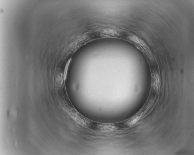 X0000087390621200704201244