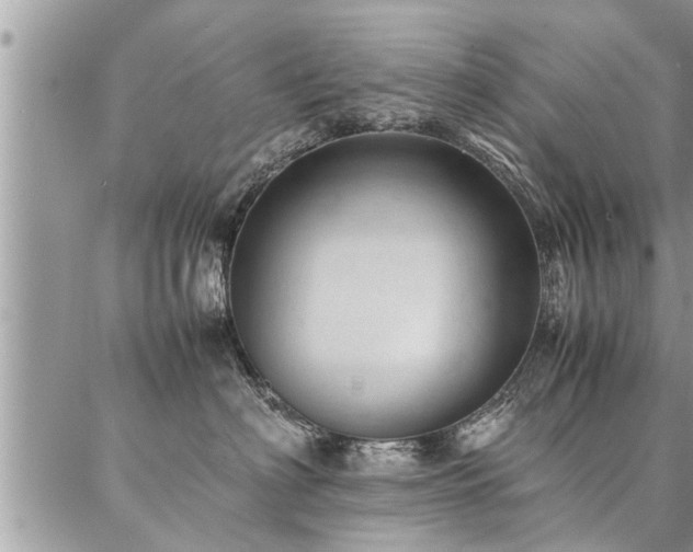 X0000087390622200704201244