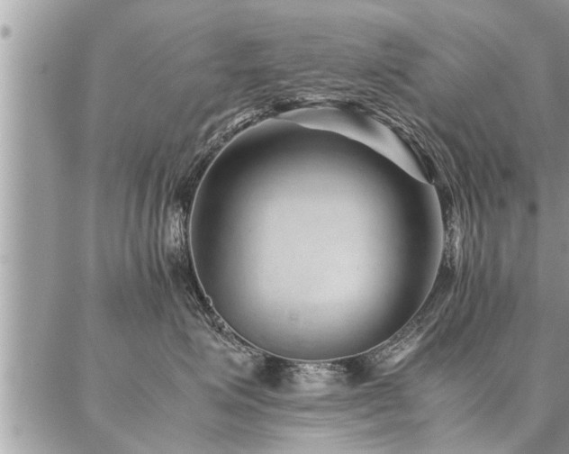 X0000087390623200704201244