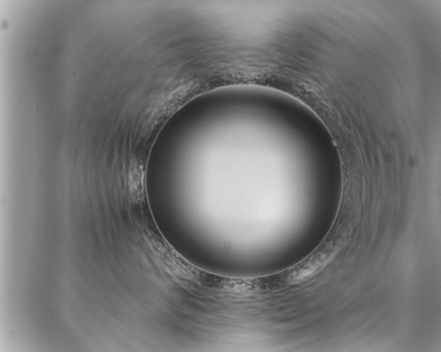 X0000087390624200704201244