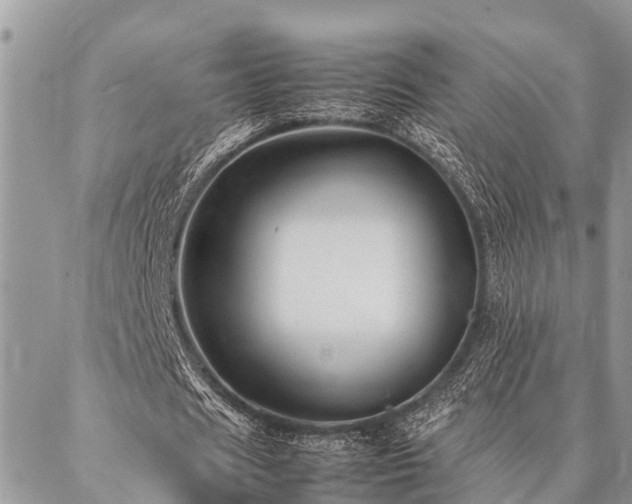 X0000087390625200704201243