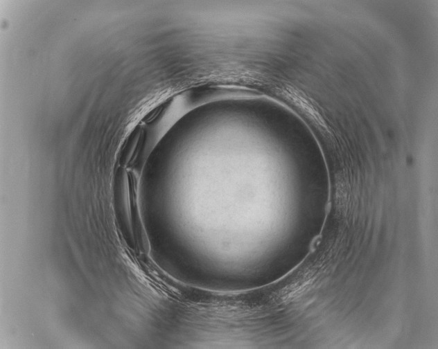 X0000087390626200704201243