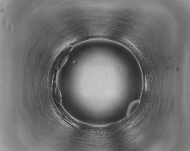 X0000087390627200704201243