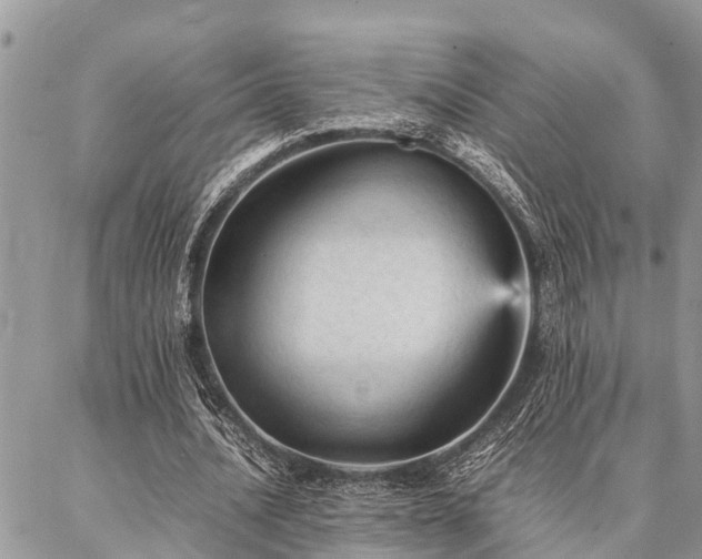 X0000087390628200704201243