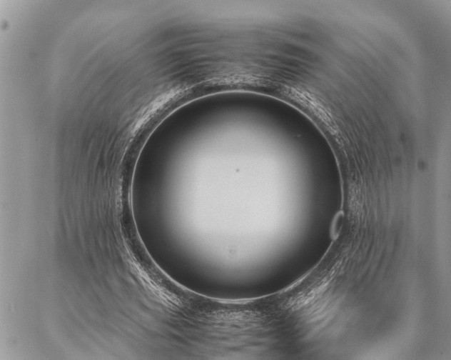 X0000087390629200704201243