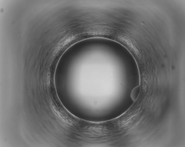 X0000087390631200704201243