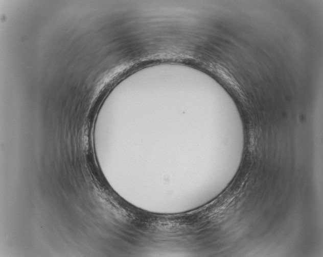 X0000087390632200704201243