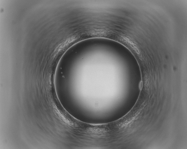 X0000087390633200704201243