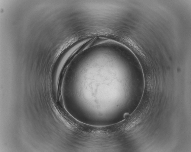 X0000087390634200704201243