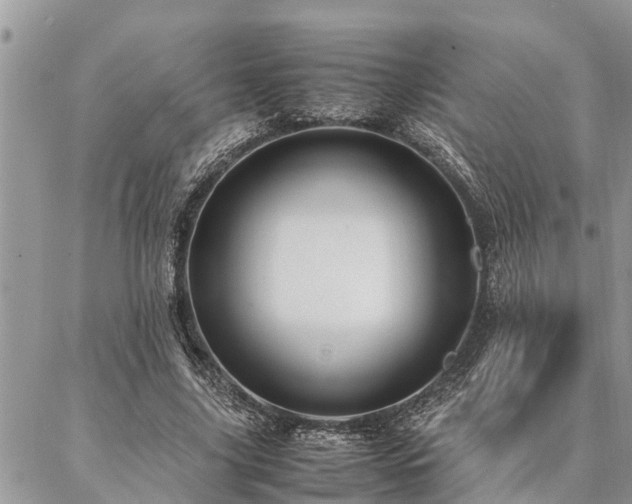 X0000087390635200704201243