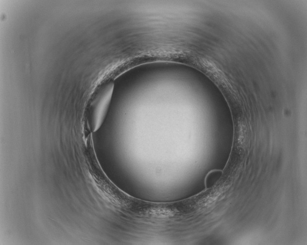 X0000087390636200704201243