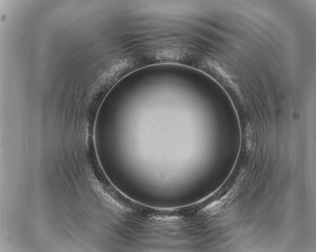 X0000087390637200704201243