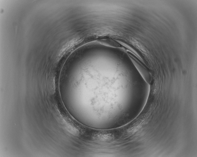 X0000087390638200704201243