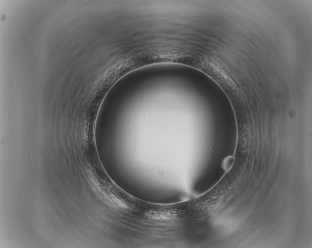 X0000087390639200704201243