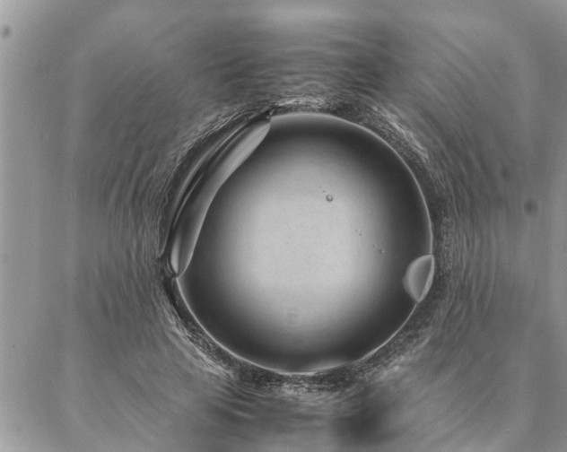 X0000087390641200704201243