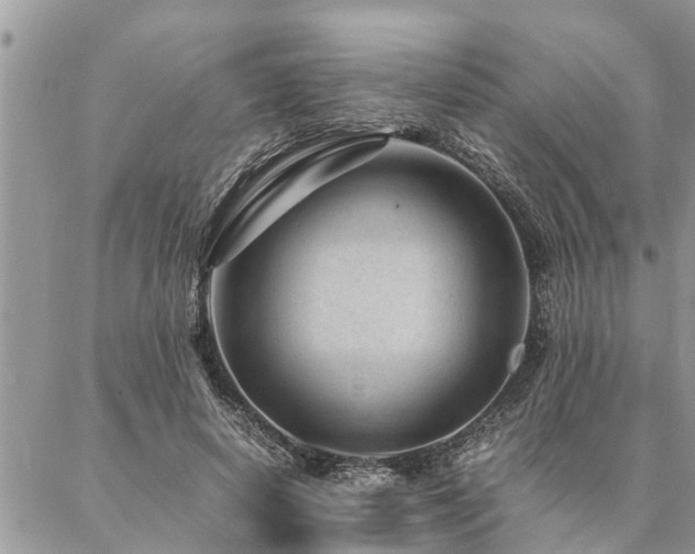 X0000087390642200704201243