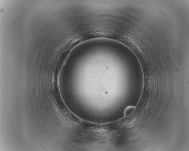 X0000087390643200704201243