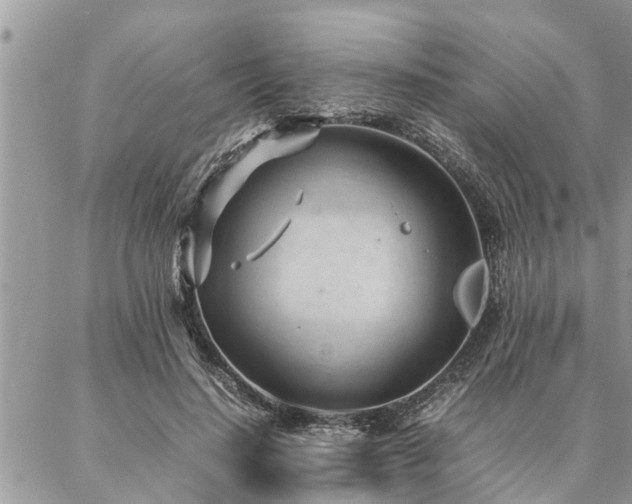 X0000087390644200704201243