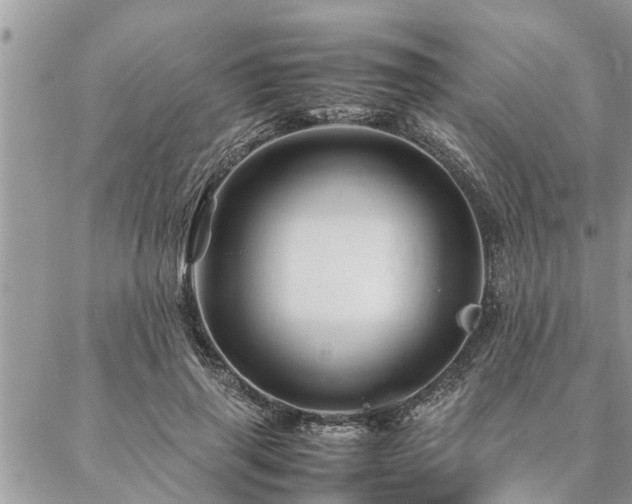 X0000087390645200704201243