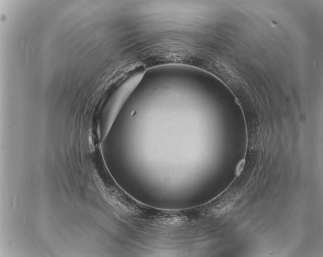 X0000087390646200704201243